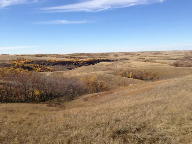 Rolling prairie hills in autumn